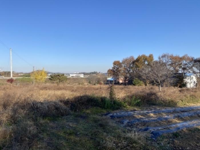 충청남도 당진시 송악읍 전대리 351-2 임야 경매 사진 3