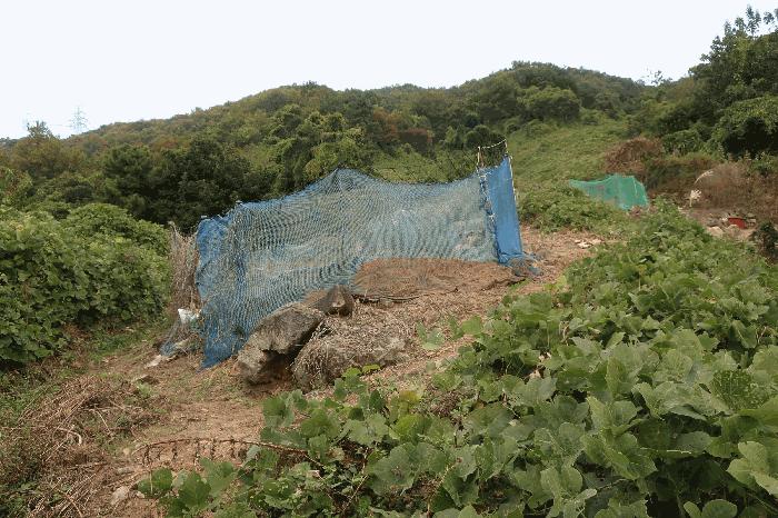 부산광역시 강서구 녹산동 967 전 경매 사진 2