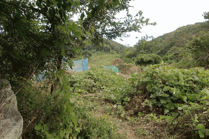 부산광역시 강서구 녹산동 967 전 경매 사진 3