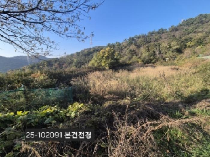 부산광역시 강서구 녹산동 967 전 경매 사진 5