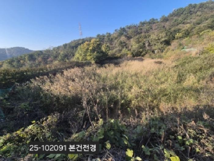 부산광역시 강서구 녹산동 967 전 경매 사진 6