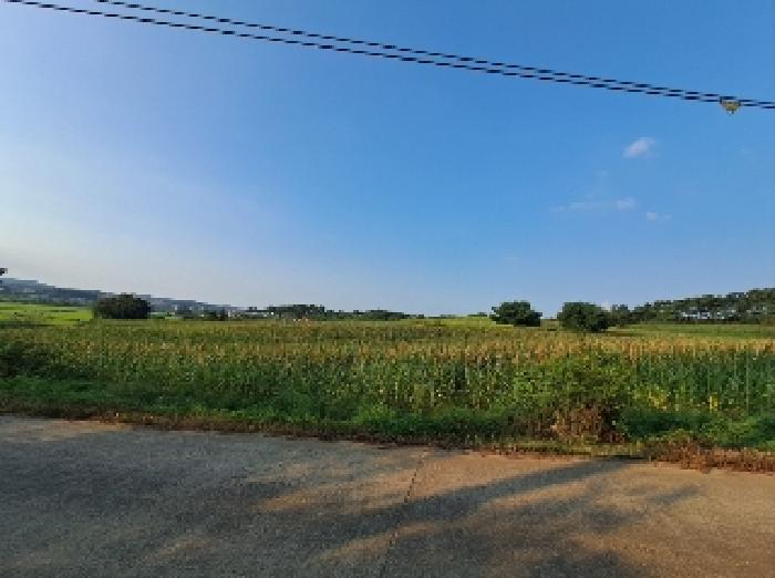 충청남도 당진시 순성면 나산리 111-2 전 경매 사진 12