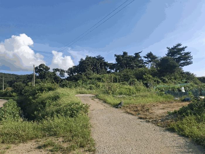 충청남도 당진시 순성면 나산리 111-2 전 경매 사진 5