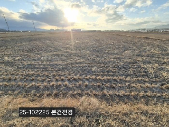 부산광역시 강서구 죽동동 501-2 답 경매 사진 3