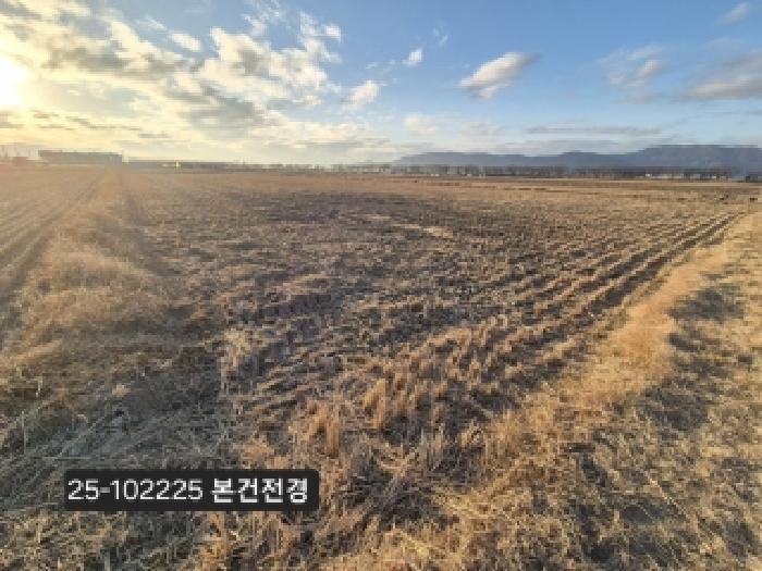 부산광역시 강서구 죽동동 501-2 답 경매 사진 4