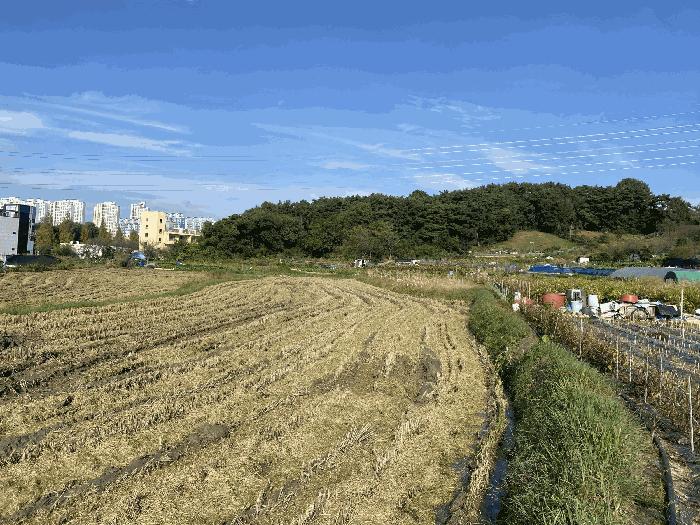 광주광역시 북구 삼각동 209 답 경매 사진 7