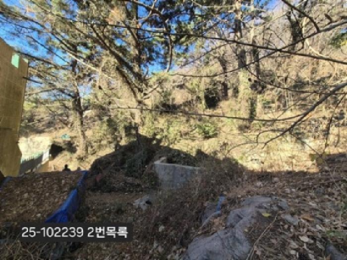 부산광역시 사하구 당리동 33-12 임야 경매 사진 10