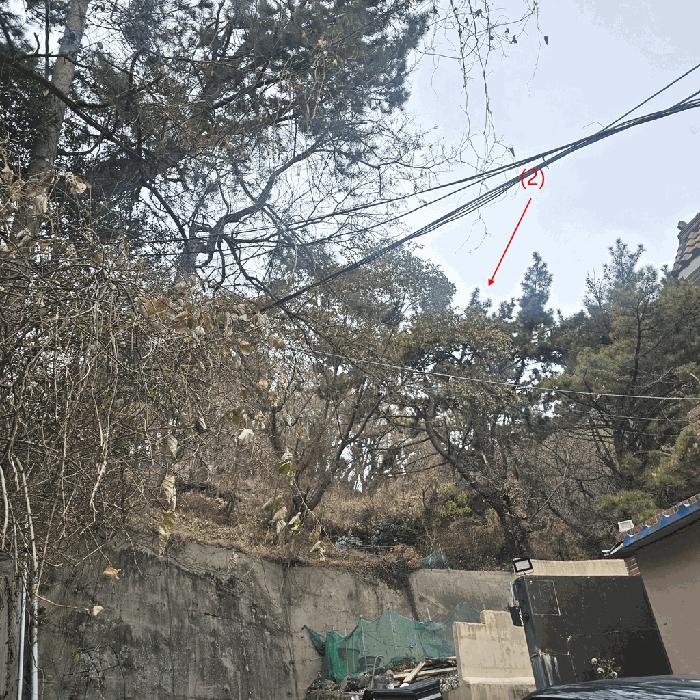 부산광역시 사하구 당리동 33-12 임야 경매 사진 5