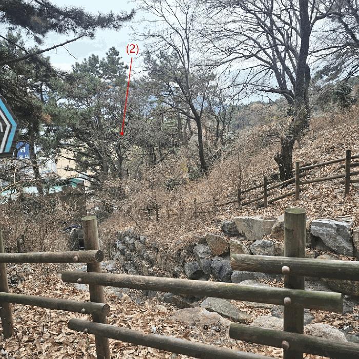 부산광역시 사하구 당리동 33-12 임야 경매 사진 6