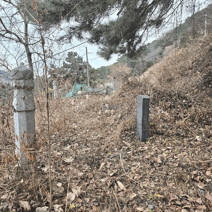 부산광역시 사하구 당리동 33-12 임야 경매 사진 7