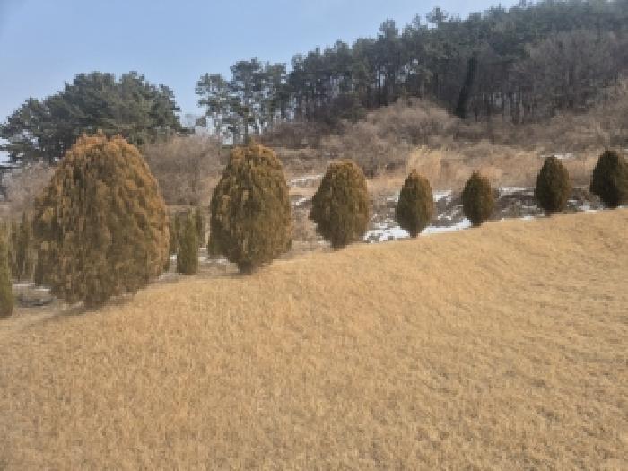 전라남도 영광군 법성면 법성리 1001 전 경매 사진 10
