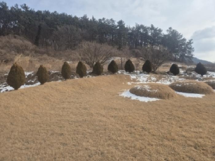 전라남도 영광군 법성면 법성리 1001 전 경매 사진 11