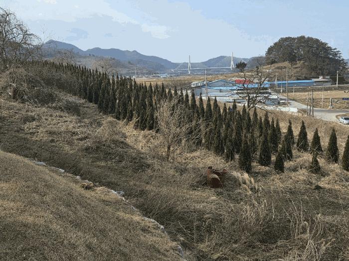 전라남도 영광군 법성면 법성리 1001 전 경매 사진 2