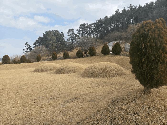 전라남도 영광군 법성면 법성리 1001 전 경매 사진 6