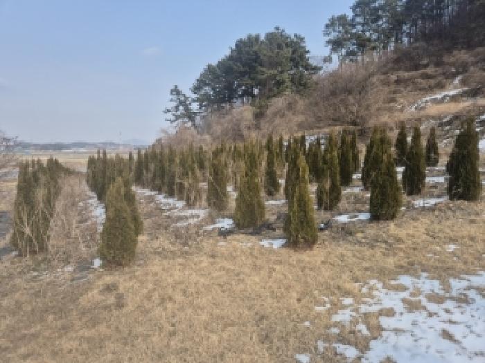 전라남도 영광군 법성면 법성리 1001 전 경매 사진 7