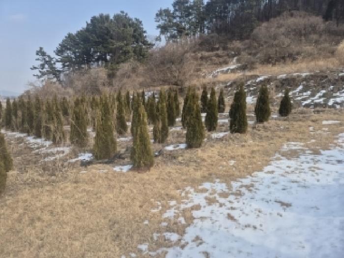 전라남도 영광군 법성면 법성리 1001 전 경매 사진 8