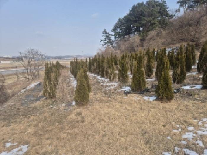 전라남도 영광군 법성면 법성리 1001 전 경매 사진 9