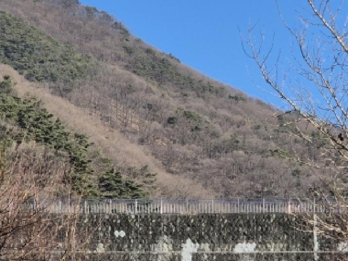 광주광역시 동구 용연동 산293-1 임야 경매 사진 3