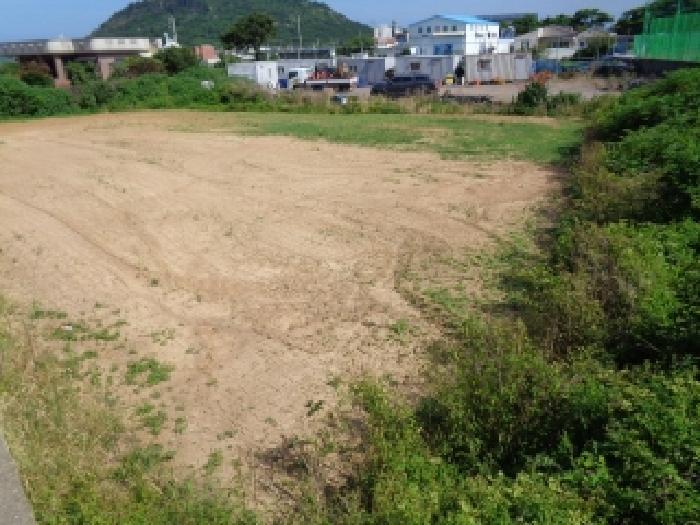 제주특별자치도 제주시 한경면 고산리 2904-2 전 경매 사진 3