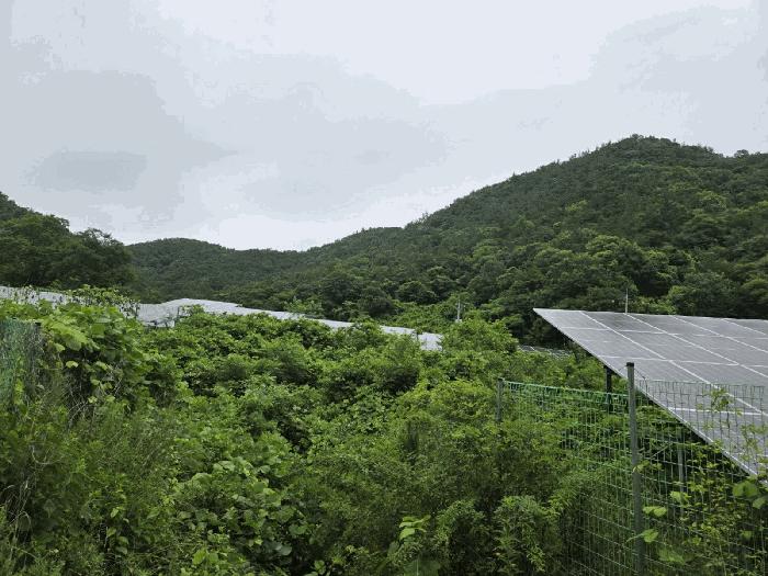전라남도 화순군 대지