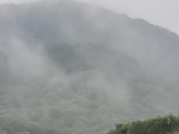 전라남도 화순군 동면 국동리 385 대지 경매 사진 11