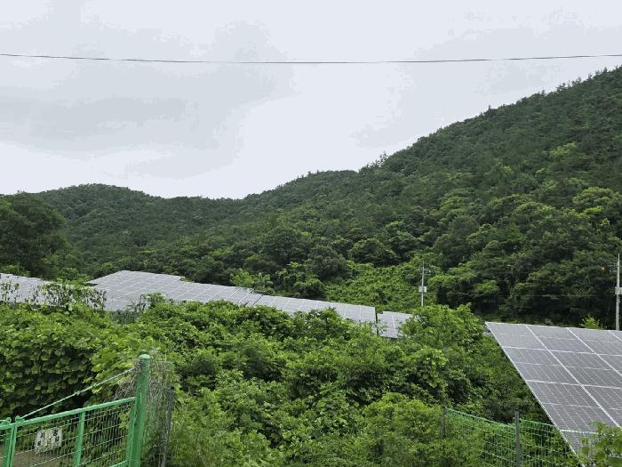 전라남도 화순군 동면 국동리 385 대지 경매 사진 2