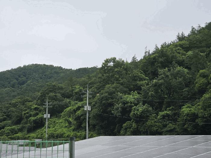 전라남도 화순군 동면 국동리 385 대지 경매 사진 7