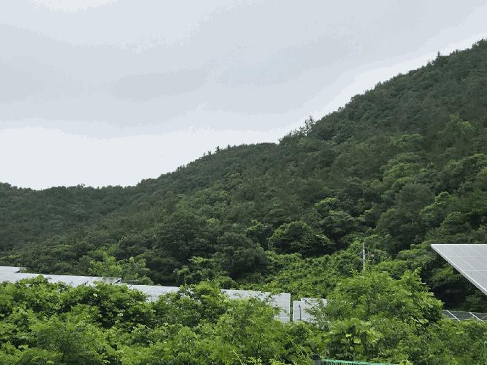 전라남도 화순군 동면 국동리 385 대지 경매 사진 8
