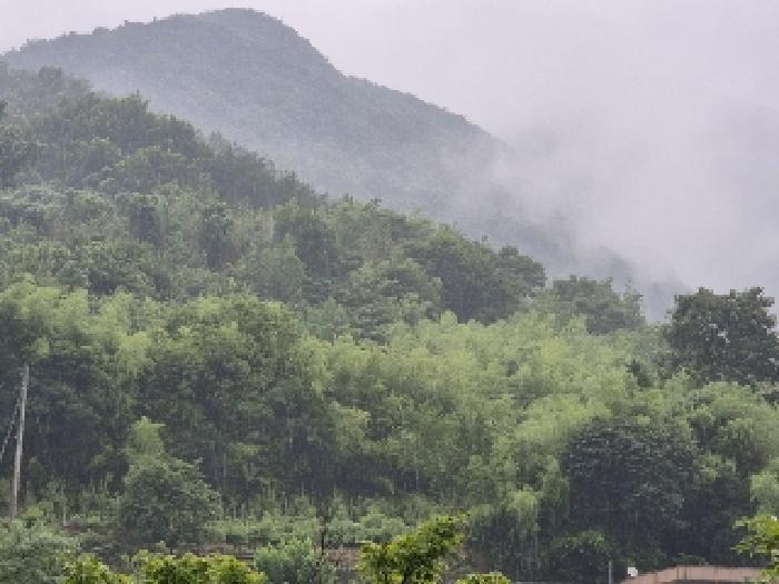 전라남도 화순군 동면 국동리 385 대지 경매 사진 9