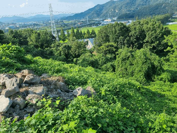 전라남도 화순군 한천면 모산리 753-5 전 경매 사진 10