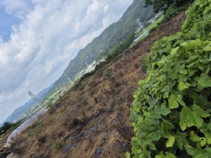 전라남도 화순군 한천면 모산리 753-5 전 경매 사진 14