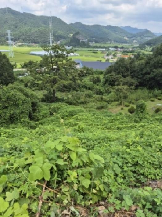 전라남도 화순군 한천면 모산리 753-5 전 경매 사진 18