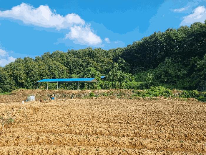 전라남도 화순군 한천면 모산리 753-5 전 경매 사진 2