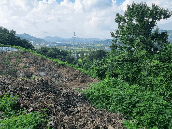 전라남도 화순군 한천면 모산리 753-5 전 경매 사진 4
