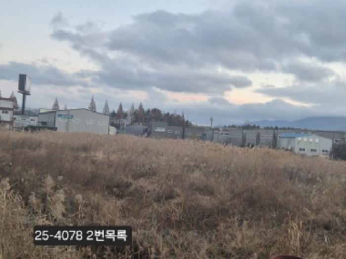 부산광역시 강서구 대저2동 2637-1 대지 경매 사진 10