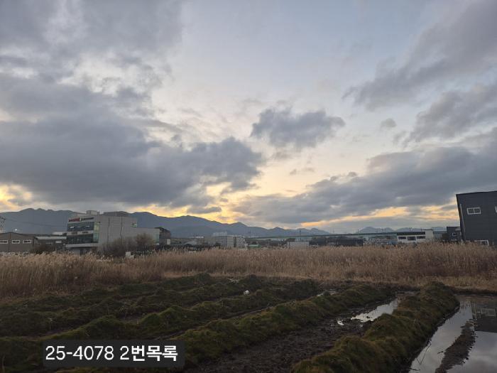 부산광역시 강서구 대저2동 2637-1 대지 경매 사진 11