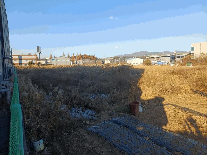 부산광역시 강서구 대저2동 2637-1 대지 경매 사진 4