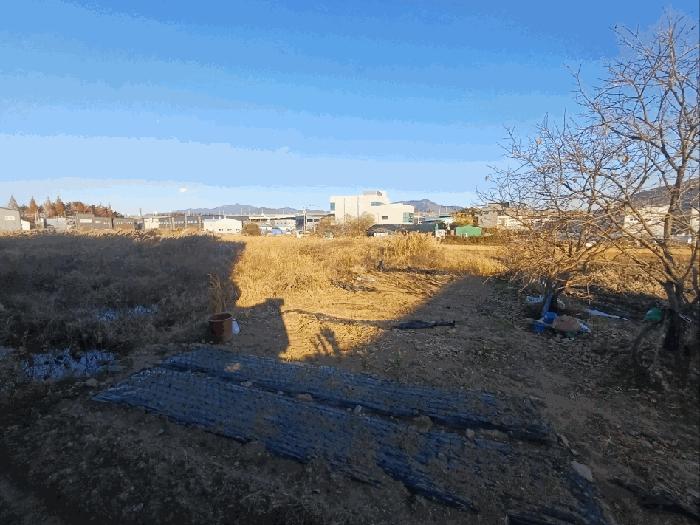 부산광역시 강서구 대저2동 2637-1 대지 경매 사진 5