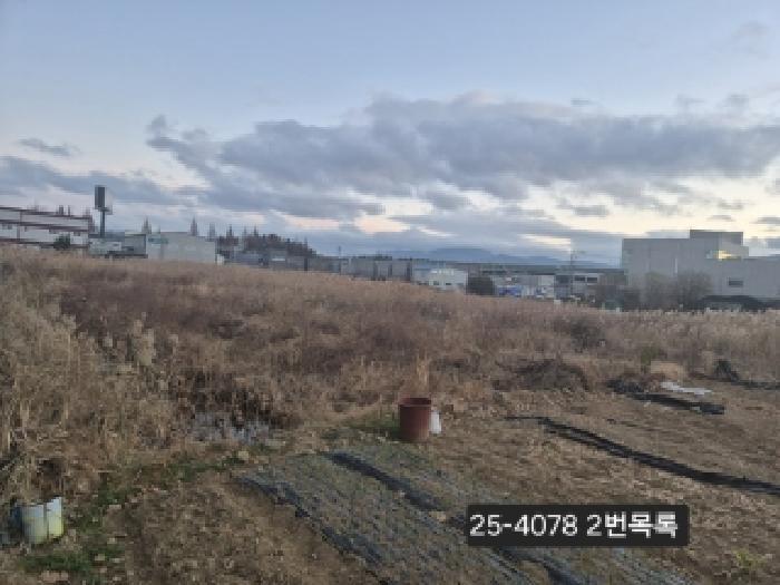 부산광역시 강서구 대저1동 1337 답 경매 사진 9