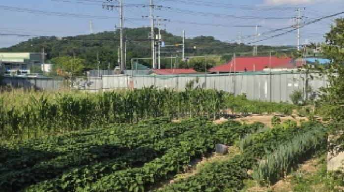 경상북도 김천시 농소면 월곡리 1296-15 답 경매 사진 12