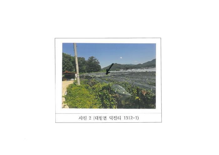 경상북도 김천시 대항면 덕전리 1312-1 답 경매 사진 10