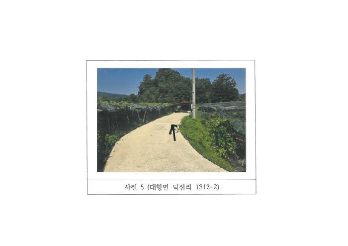 경상북도 김천시 대항면 덕전리 1312-1 답 경매 사진 13