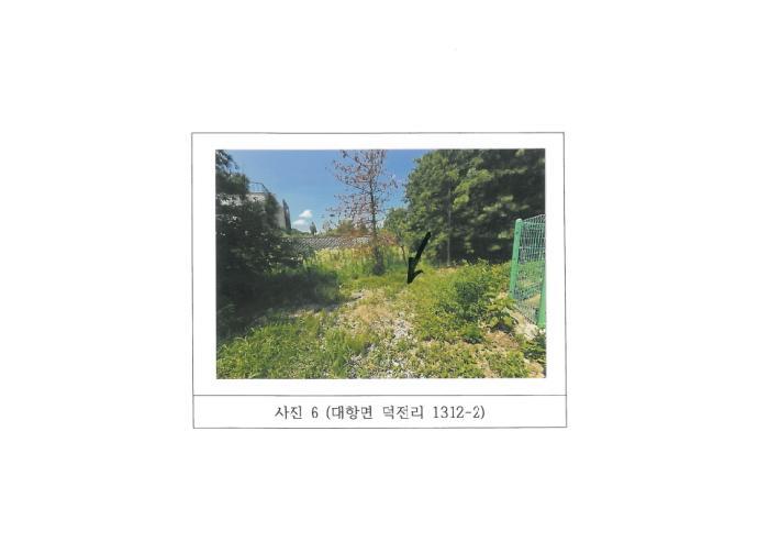 경상북도 김천시 대항면 덕전리 1312-1 답 경매 사진 14