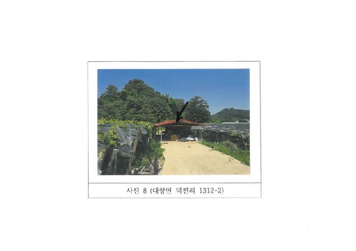 경상북도 김천시 대항면 덕전리 1312-1 답 경매 사진 16