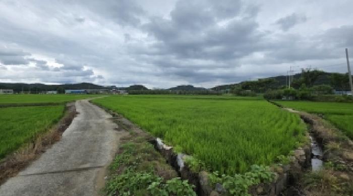 경상북도 구미시 장천면 신장리 308 답 경매 사진 10