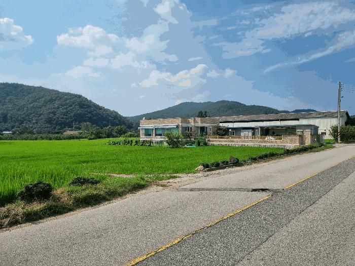 경상북도 구미시 장천면 신장리 308 답 경매 사진 4