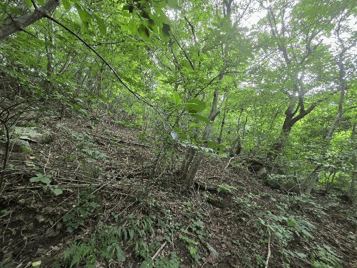 경상북도 김천시 대항면 운수리 산85-1 임야 경매 사진 3