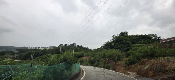 경상북도 김천시 덕곡동 519-2 임야 경매 사진 12