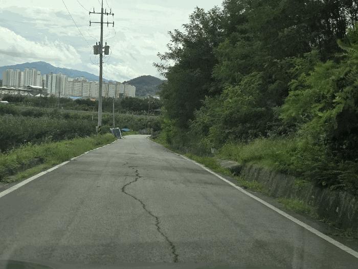 경상북도 김천시 덕곡동 519-2 임야 경매 사진 3