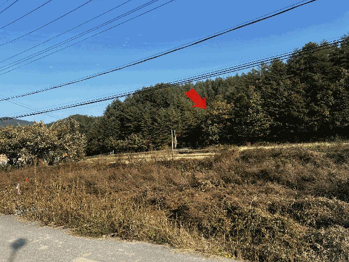 강원특별자치도 양양군 현북면 어성전리 179 주택 경매 사진 1